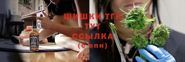 сатива Баксан