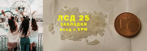 стаф Аркадак