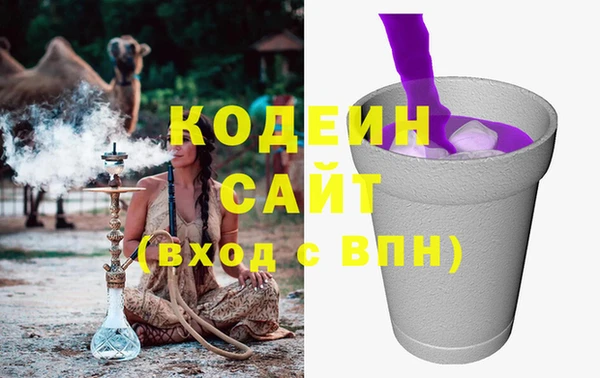 стаф Аркадак