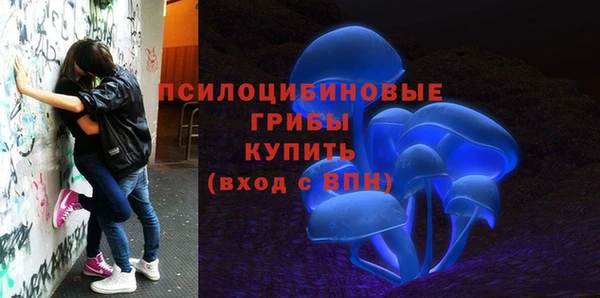 стаф Аркадак