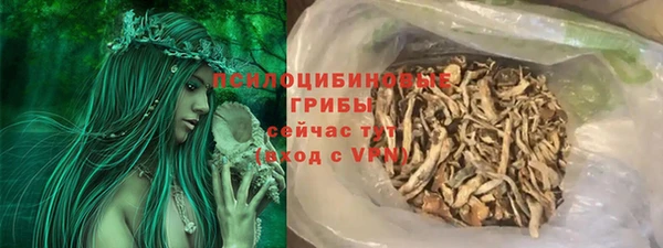 стаф Аркадак