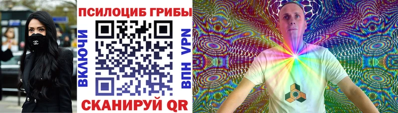 где найти   Усть-Лабинск  Псилоцибиновые грибы Magic Shrooms 