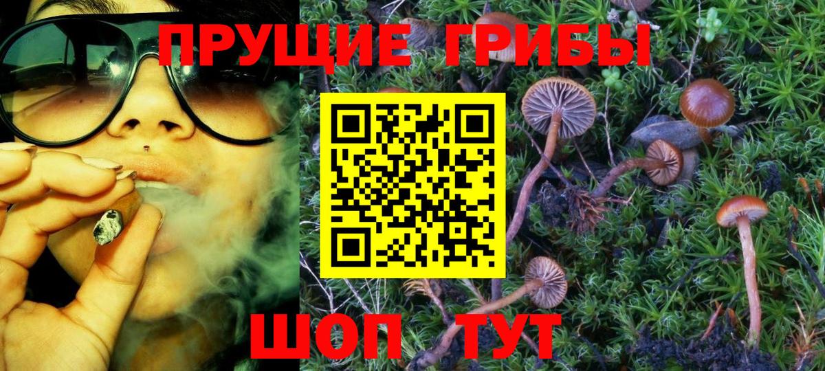 Галлюциногенные грибы мицелий  Вход с VPN  Усть-Лабинск 