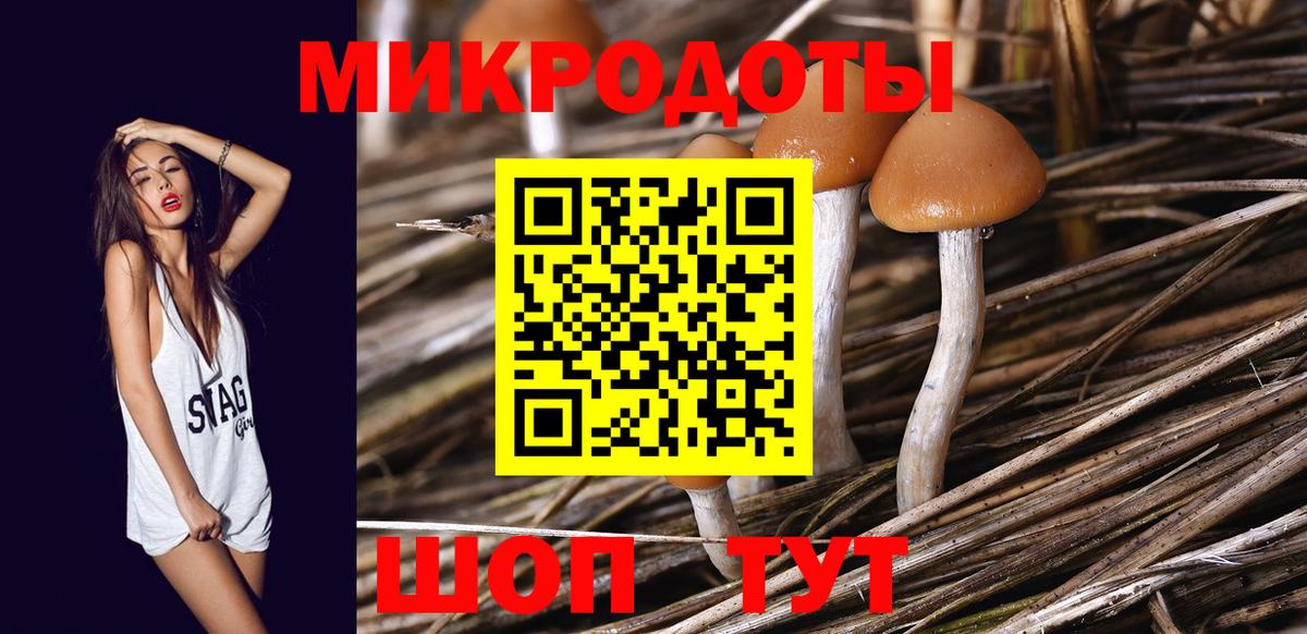 Галлюциногенные грибы мицелий Усть-Лабинск